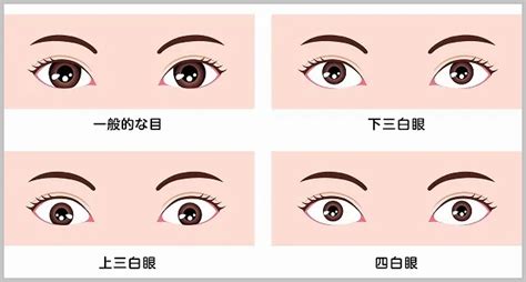 桃花眼 三白眼|目の形の種類一覧！自分の目の形が分からない人向けの確認方法も